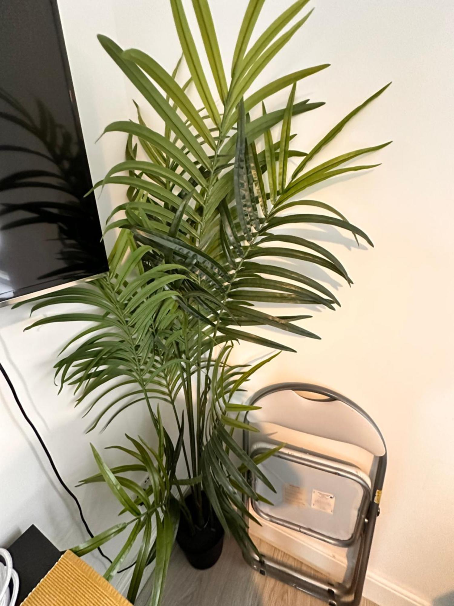 Lovely Self Contained Studio Now Available London Exteriör bild